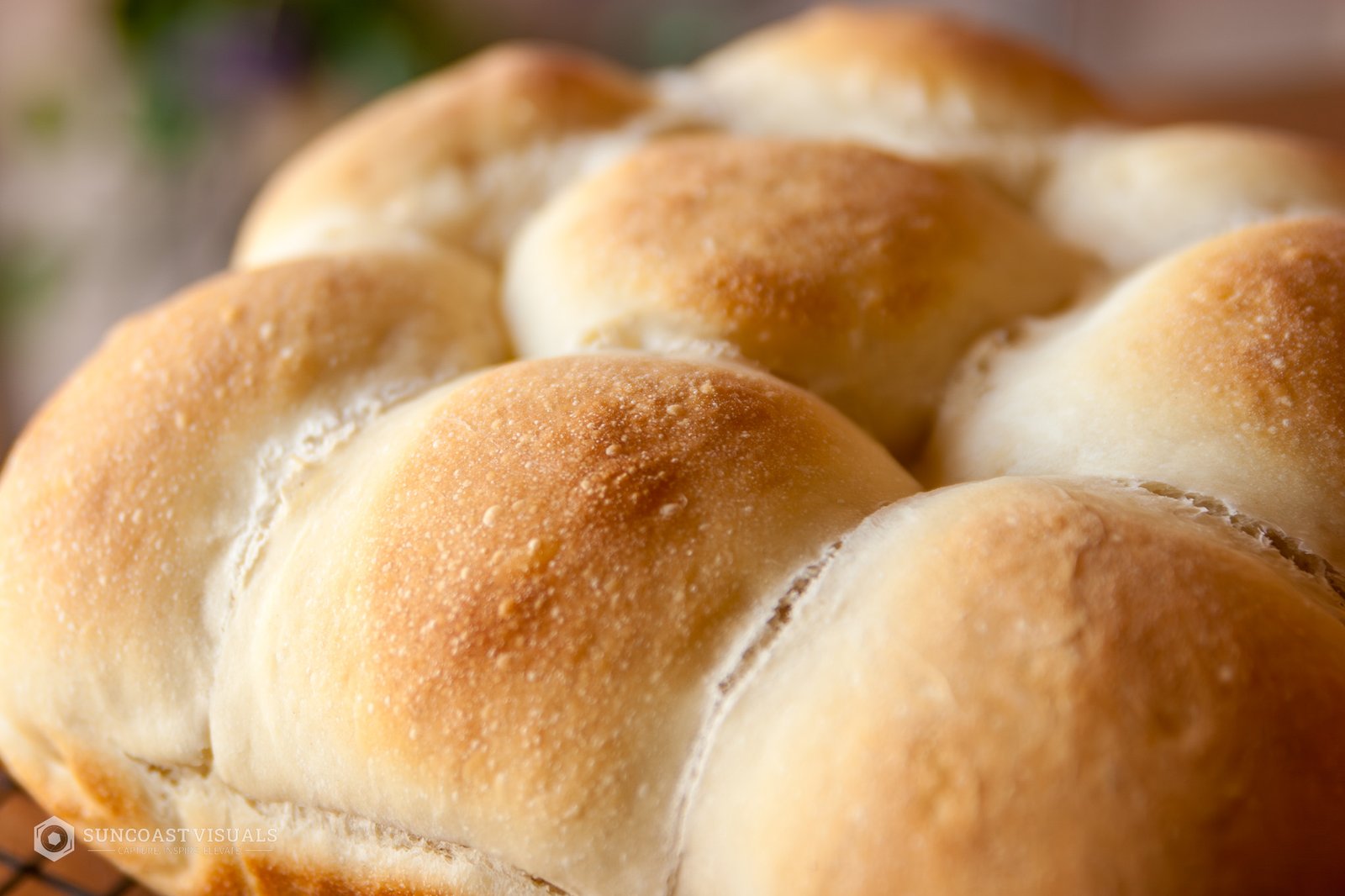 Blender Dinner Rolls