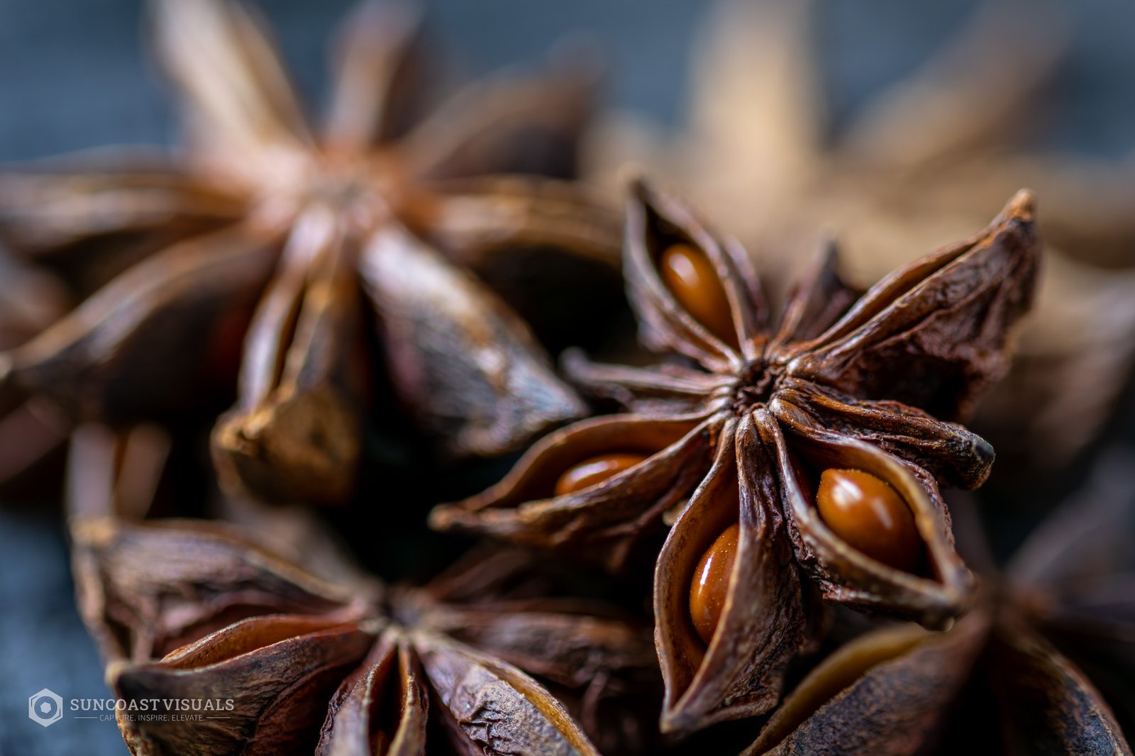 Star Anise Pods